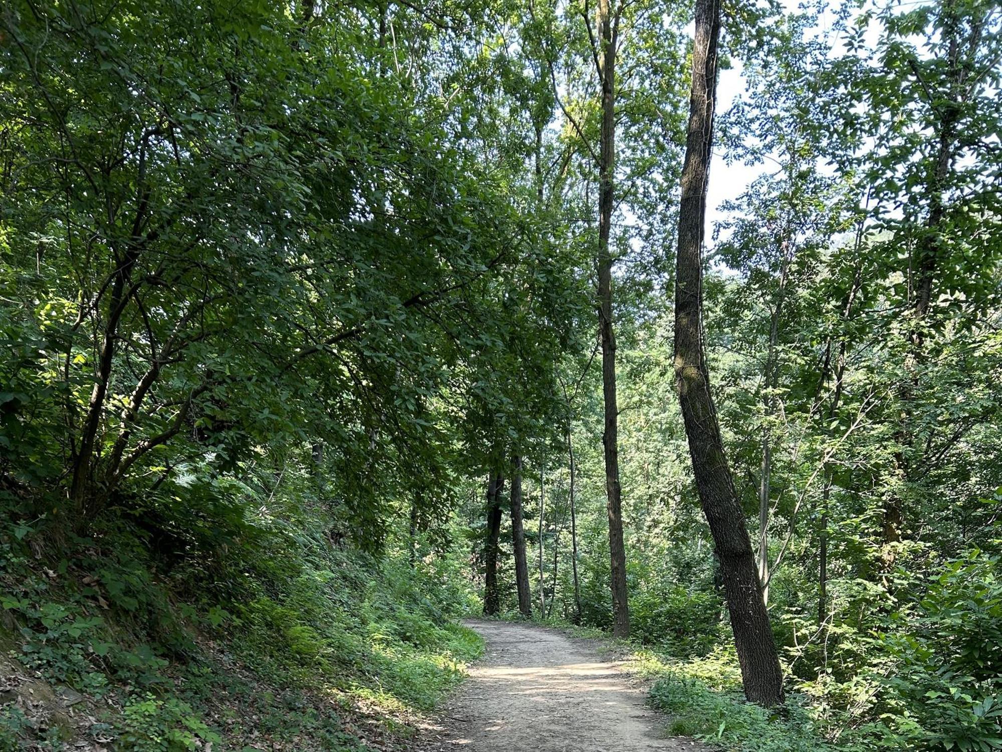 Apartmán Il Giardino Di Berbech Citta Alta-Ulivo Bergamo Exteriér fotografie